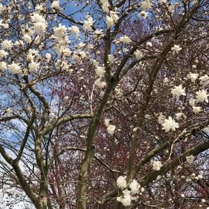 Meet your Posher, Carolyn
